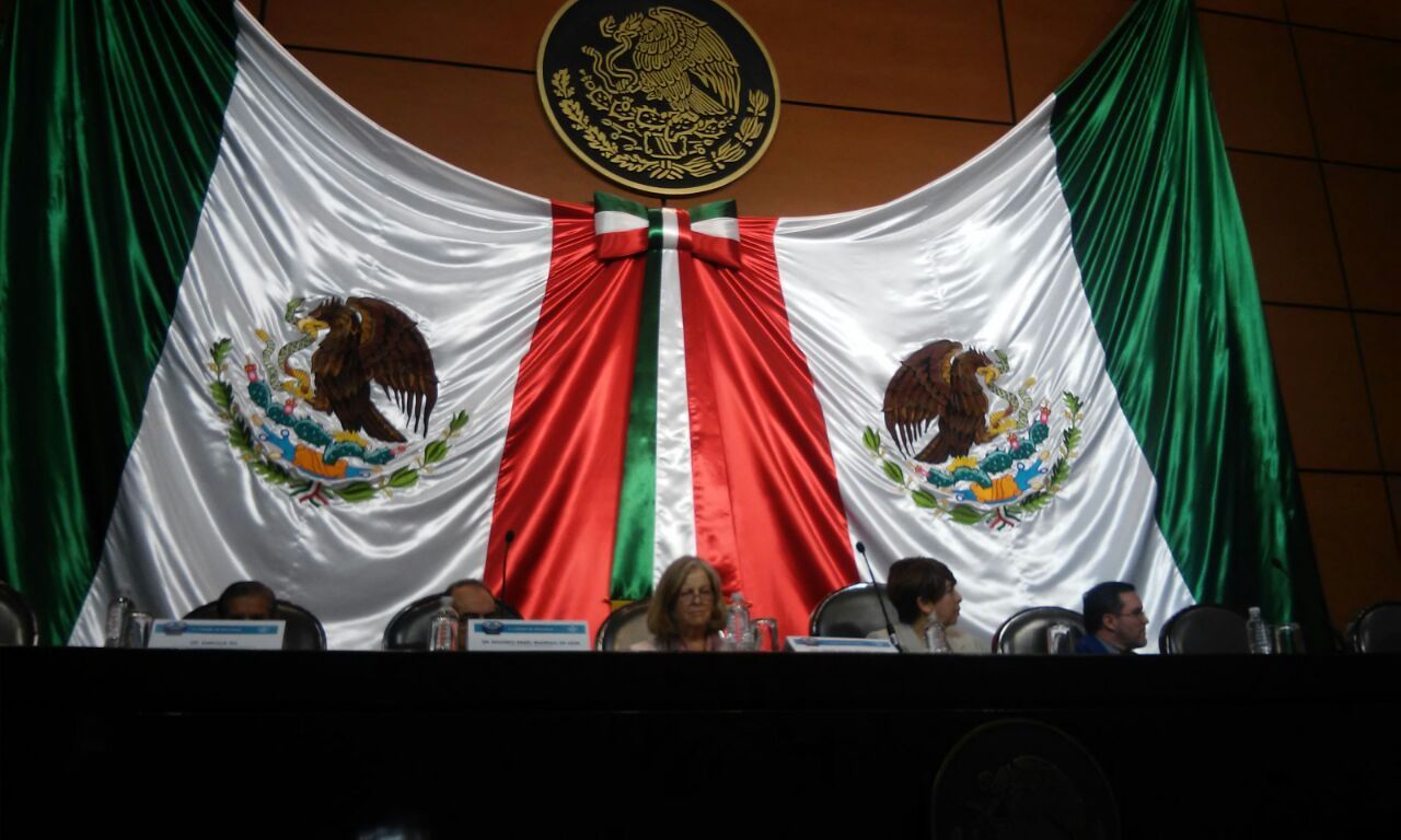 María Soledad Rodriguez  Verdugo-10