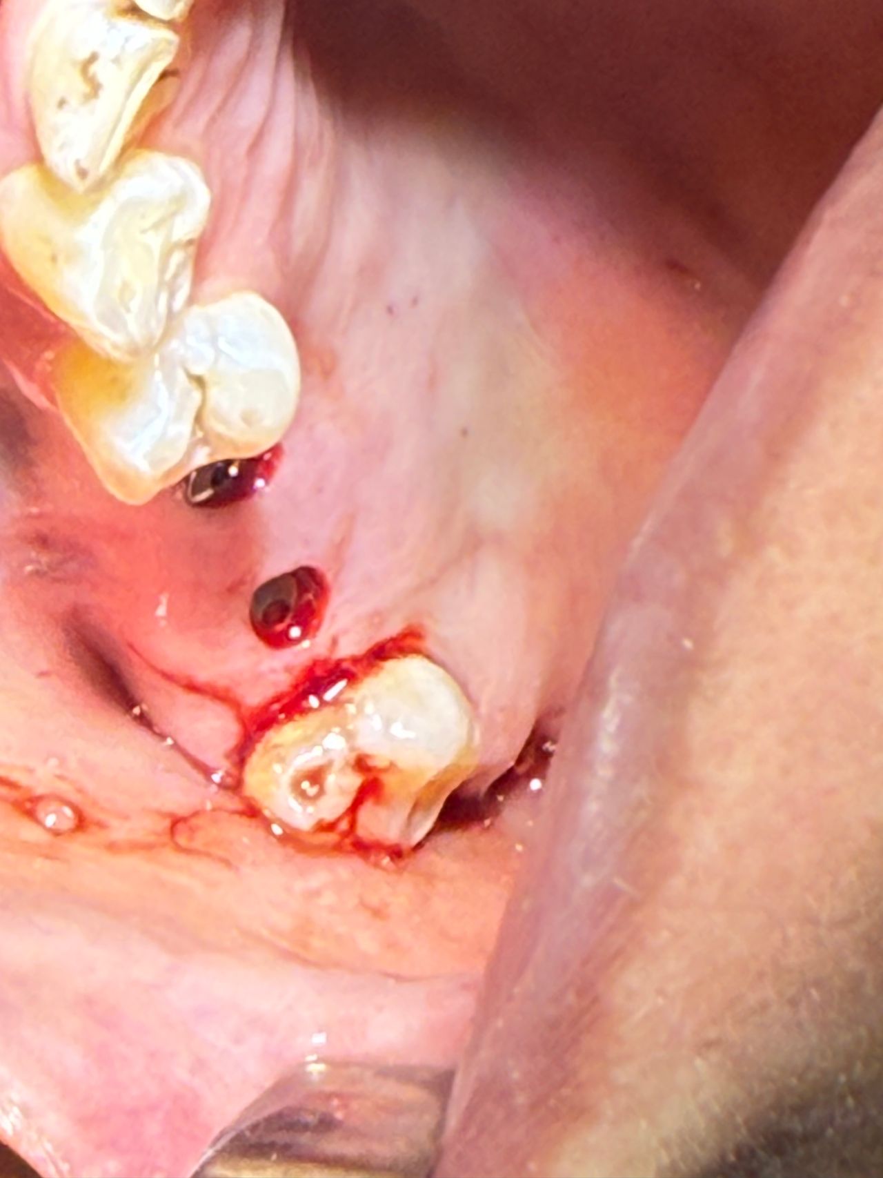 Eduardo López Méndez-65