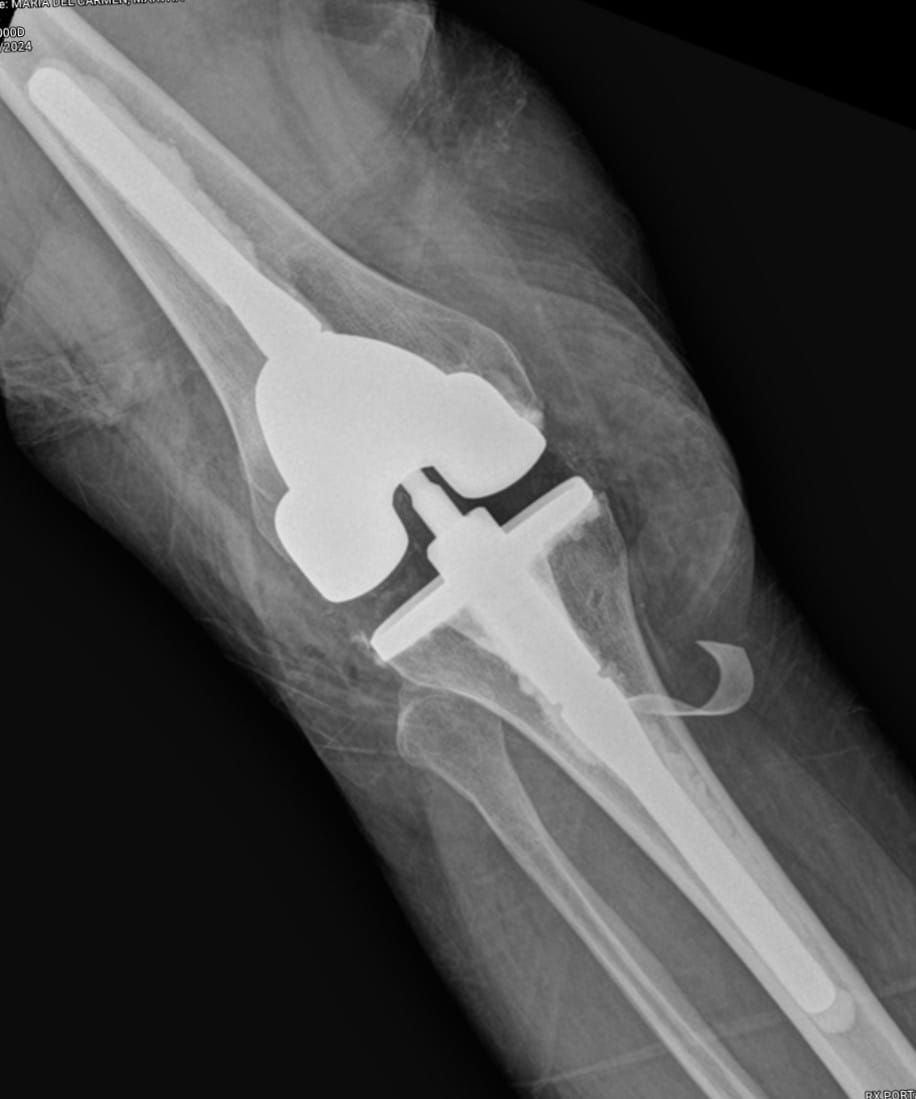 J. Miguel Zamarripa Jáuregui-13