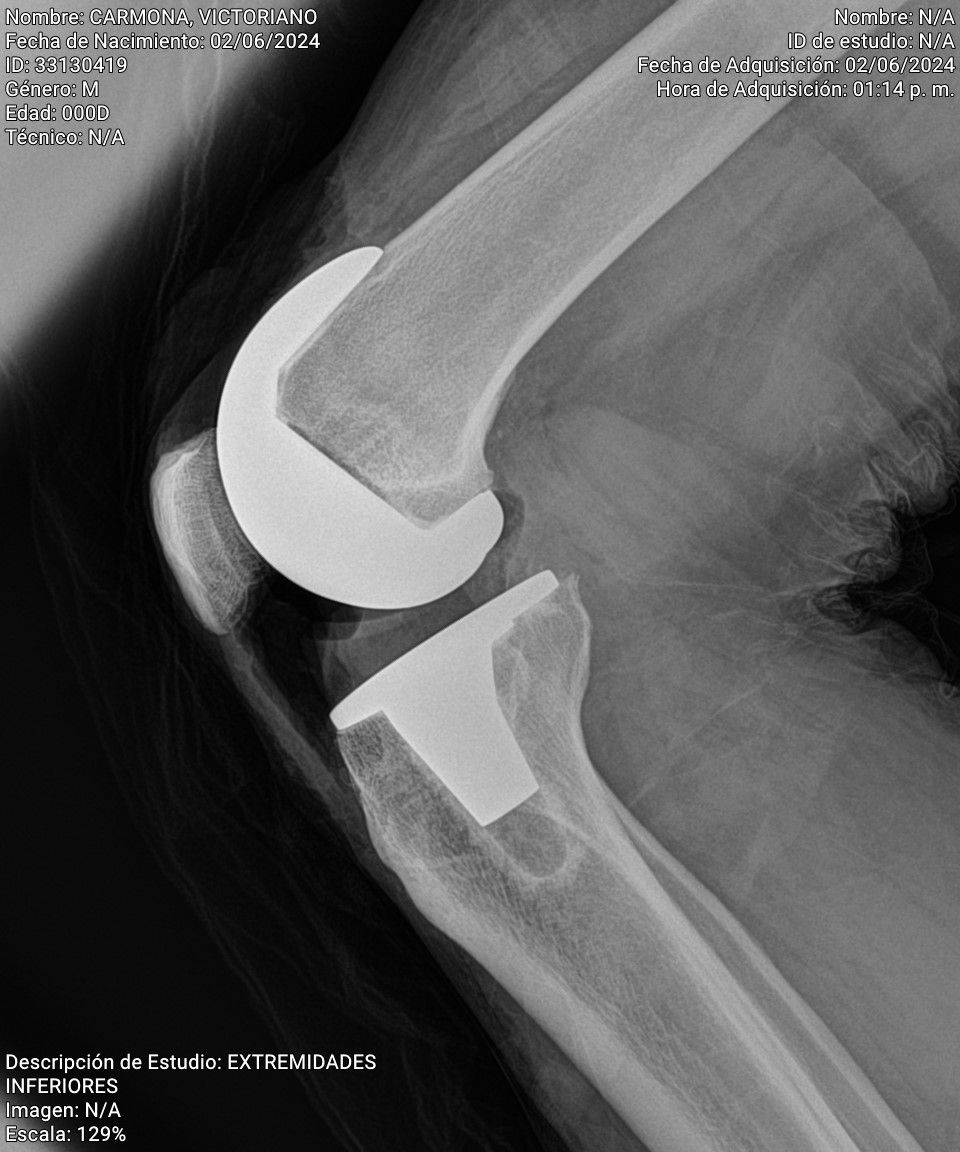 J. Miguel Zamarripa Jáuregui-15