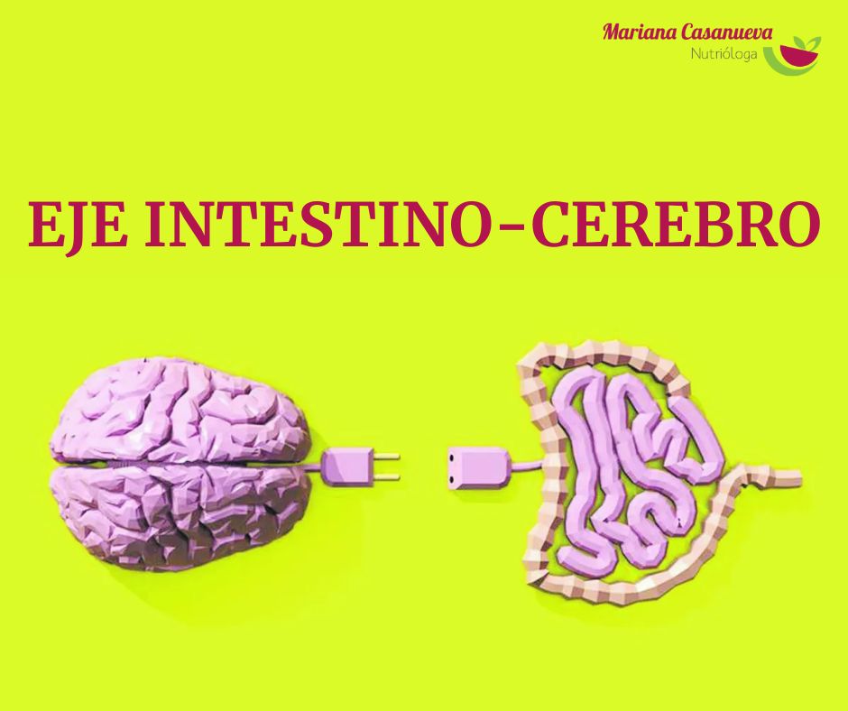 Mariana Casanueva-14