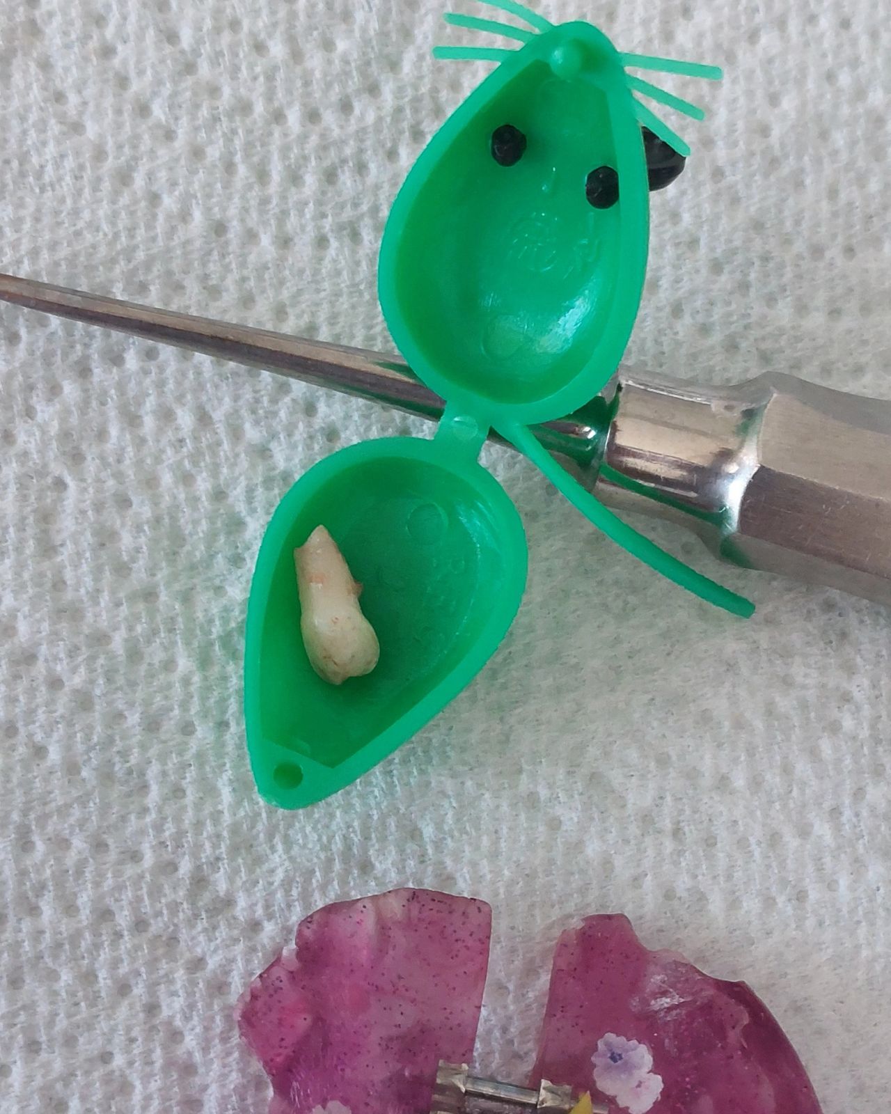 Giovanna Paola Huerta De Santiago-17