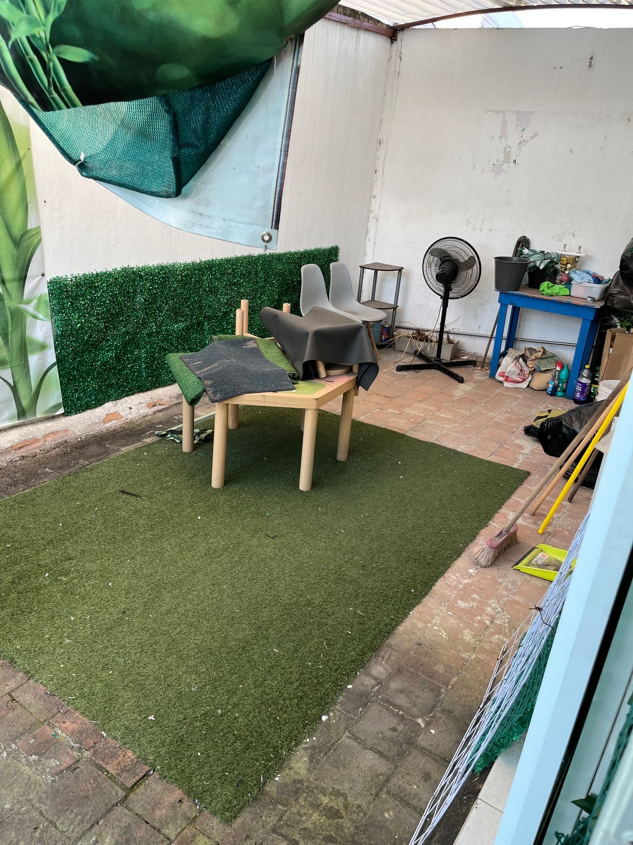 Diego Roberto Ruiz Mora-3