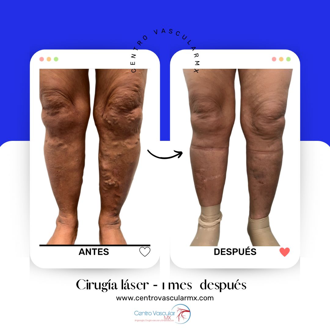 Vicente Andrés Alvarado Velez-0