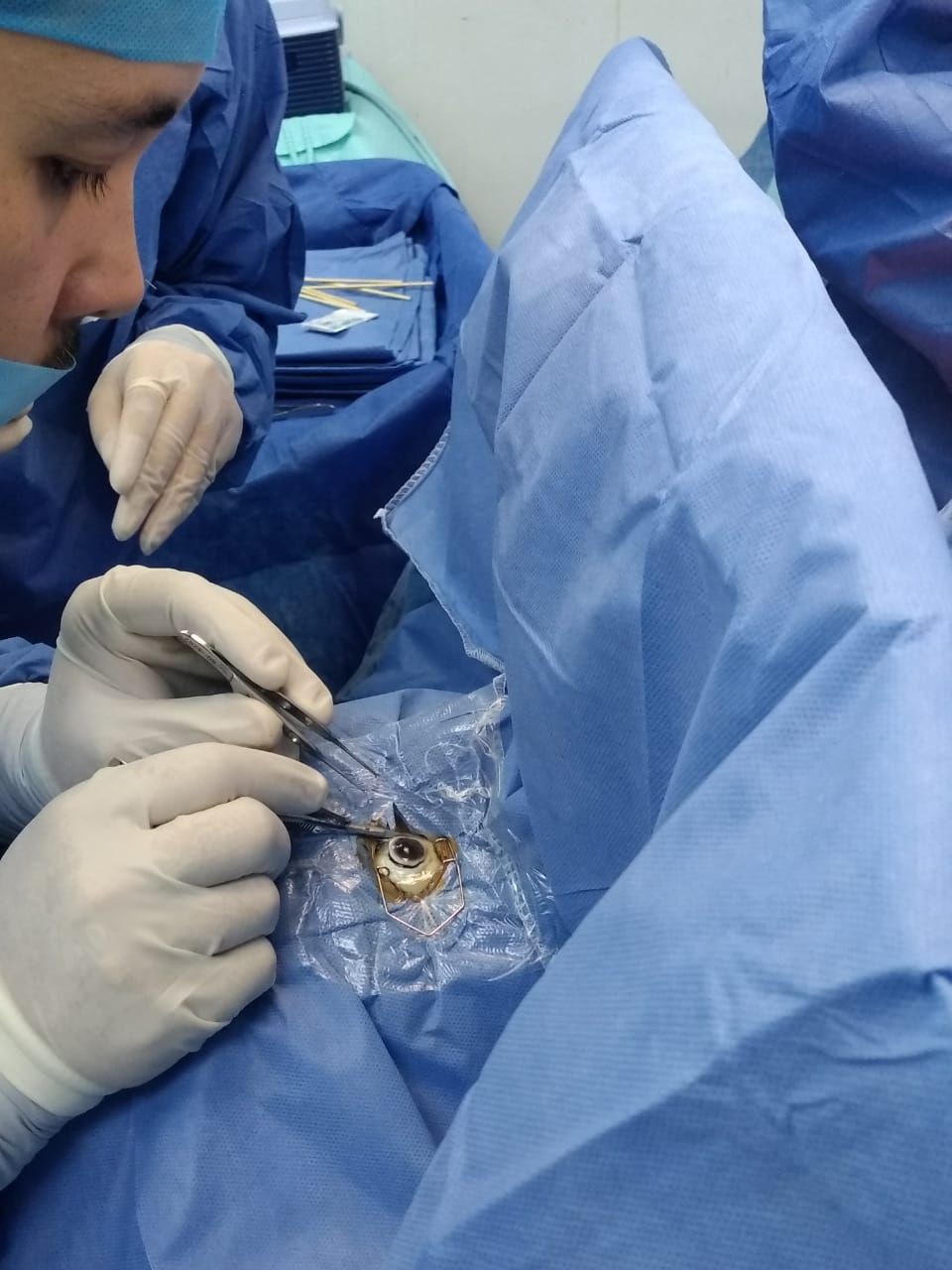 Sergio U. Gonzalez Pliego N.-2