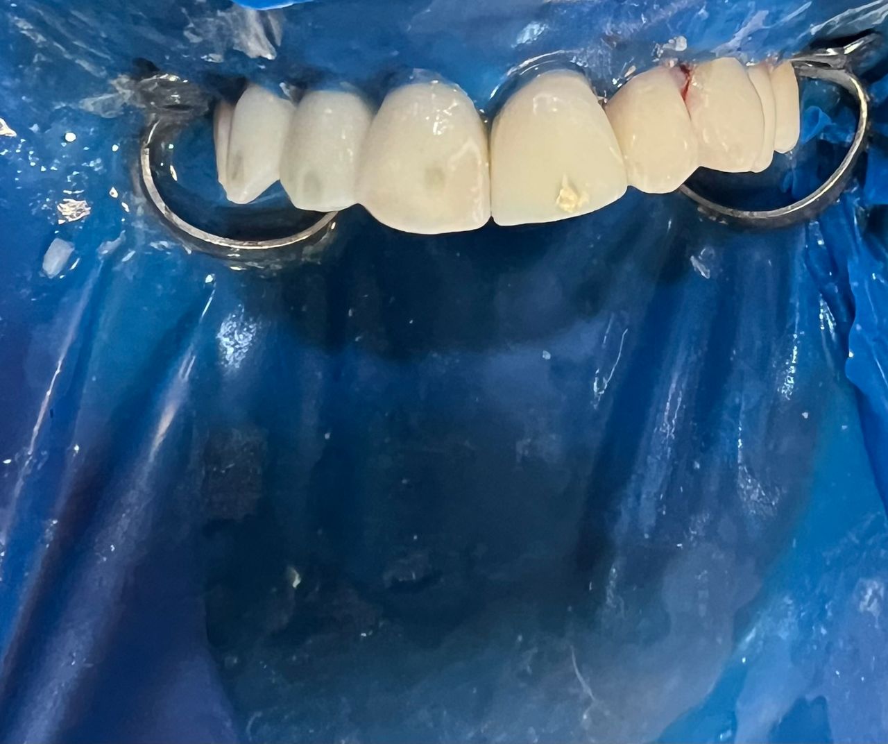 Alejandra Domínguez-5