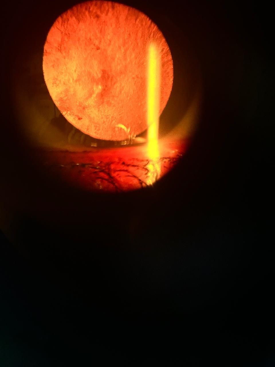 Daniel Martin Laguna Muñoz-56