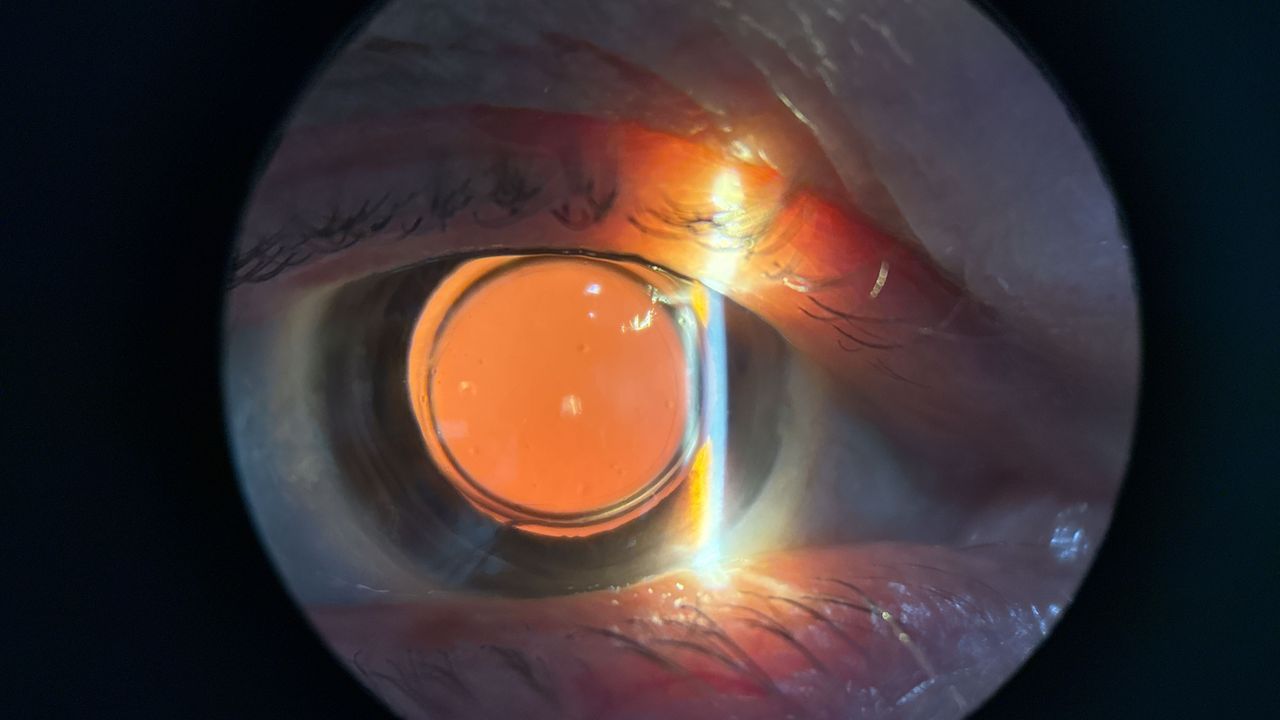 Lesly Joanna García Gómez-1