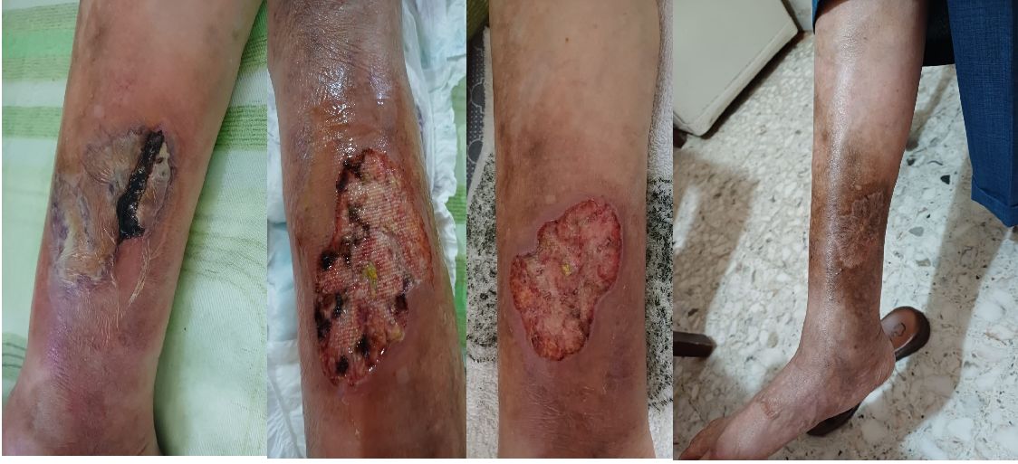 Diana Mojarro Velazco-11