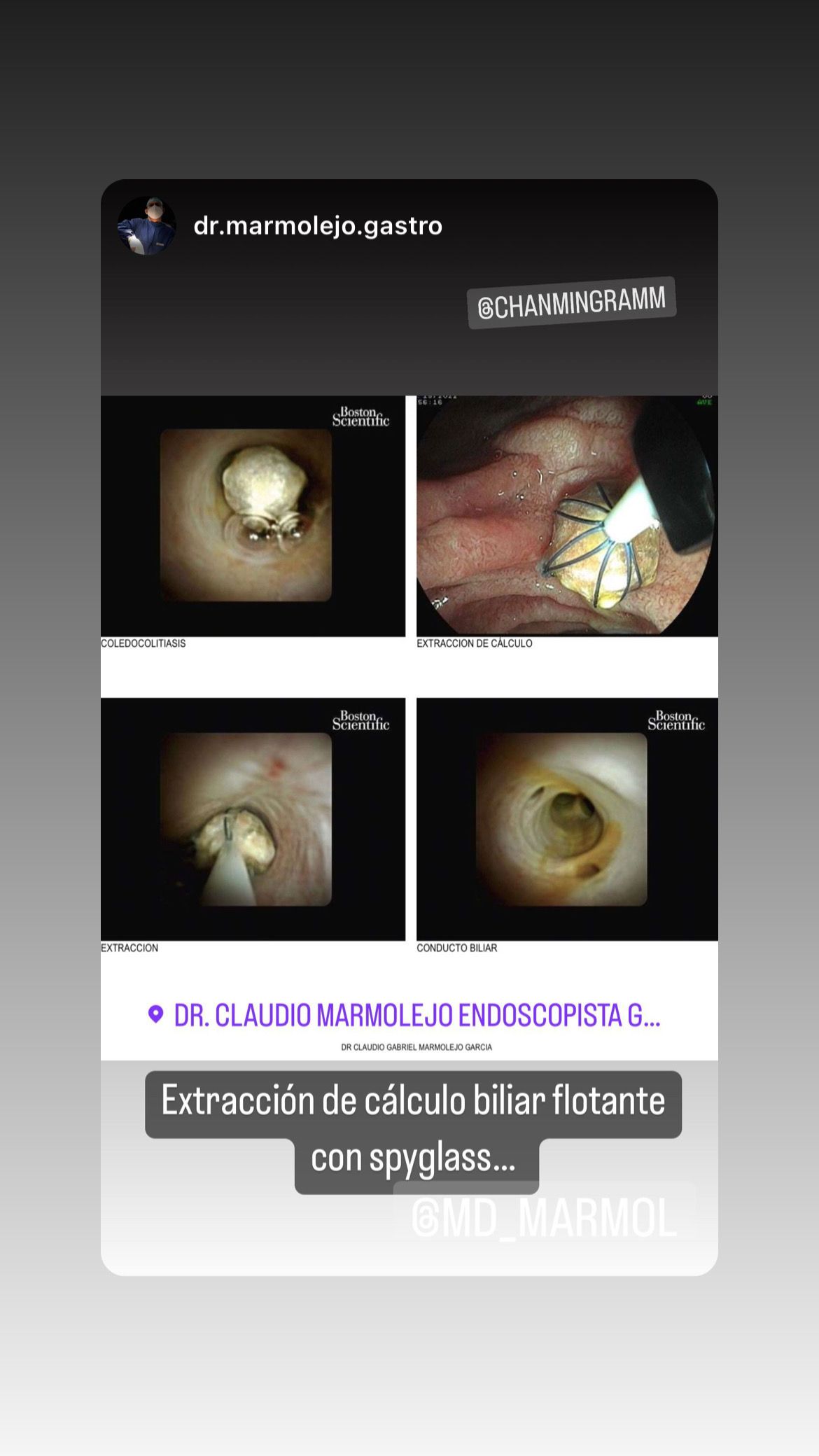 José Antonio Gutierrez Mingramm-7