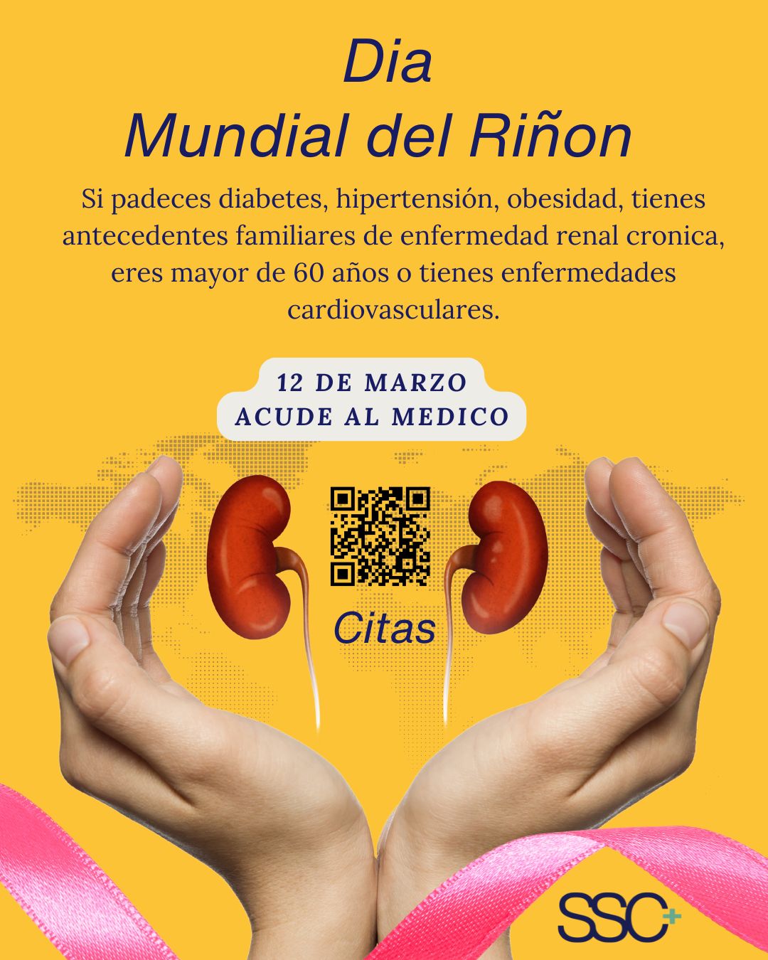 Ivan Alejandro Torres Urzua-0