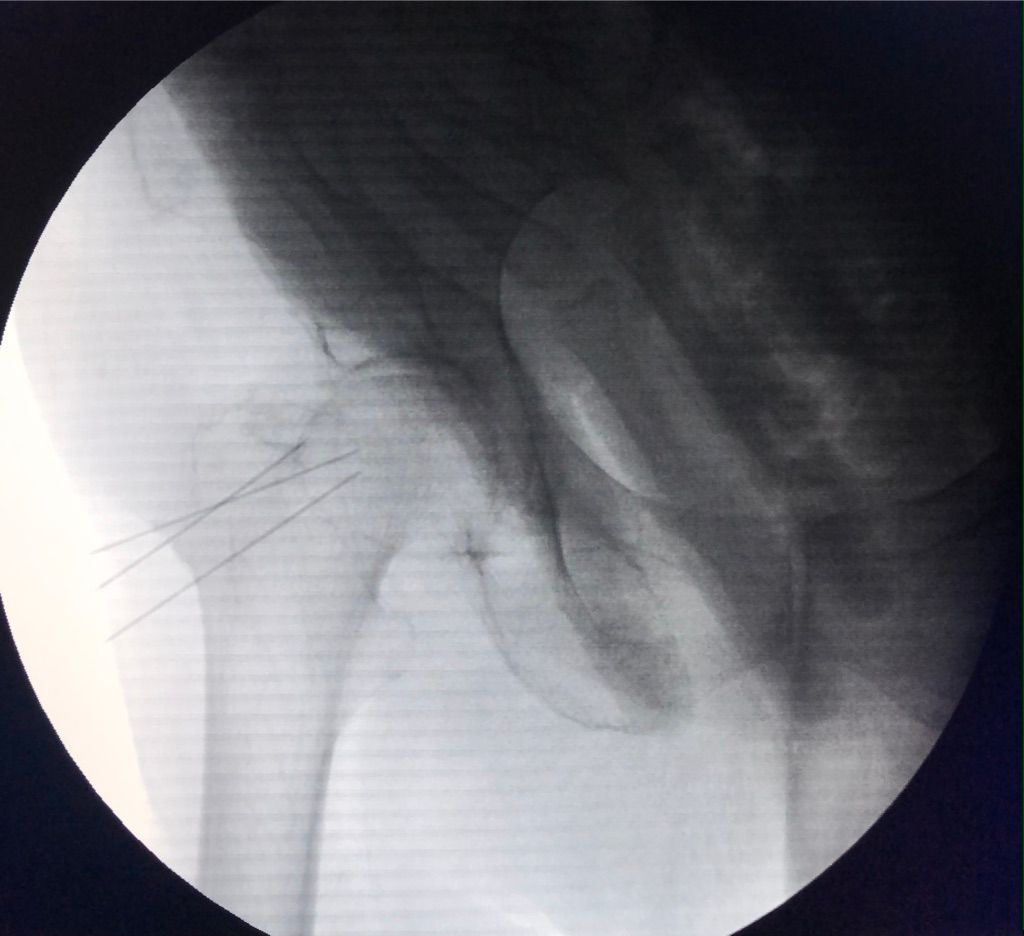 Gisela Cleto Zepeda-102