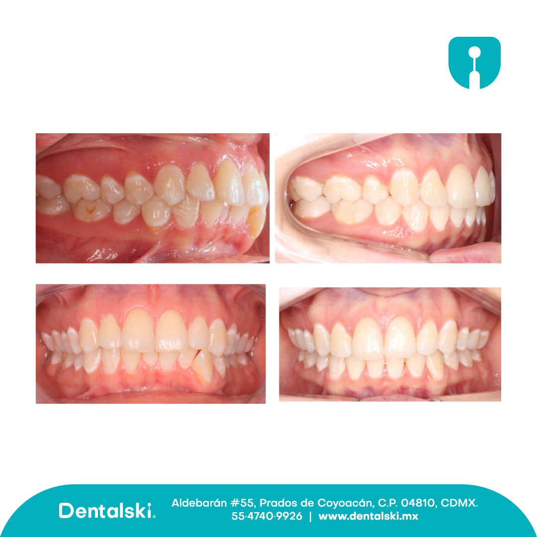 María Helena Zawistowski López-8