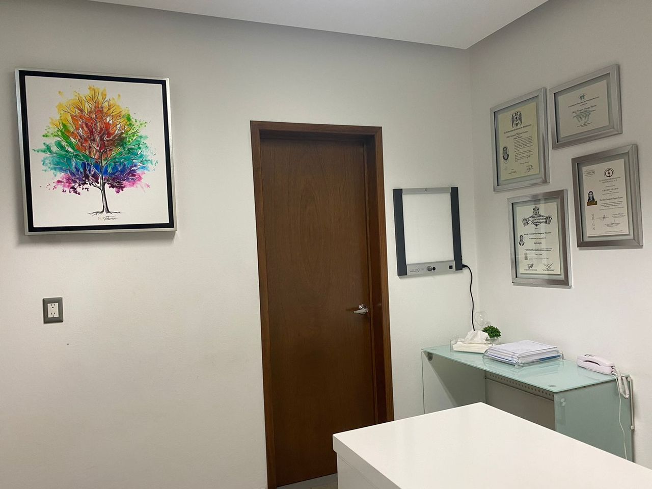 María Concepción Oseguera Vizcaíno-5