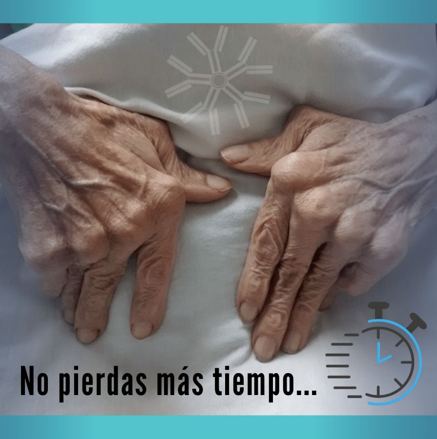 Brenda Lucía Palacios Zárate-2