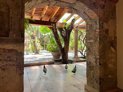 Trino José Baptista-8