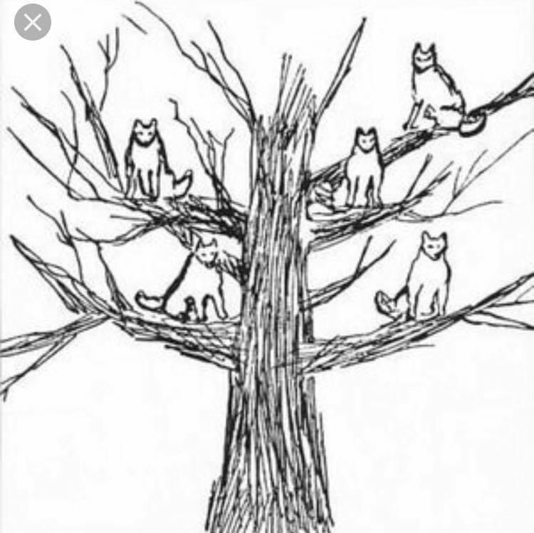 Amapola Garduño Carbajal-21