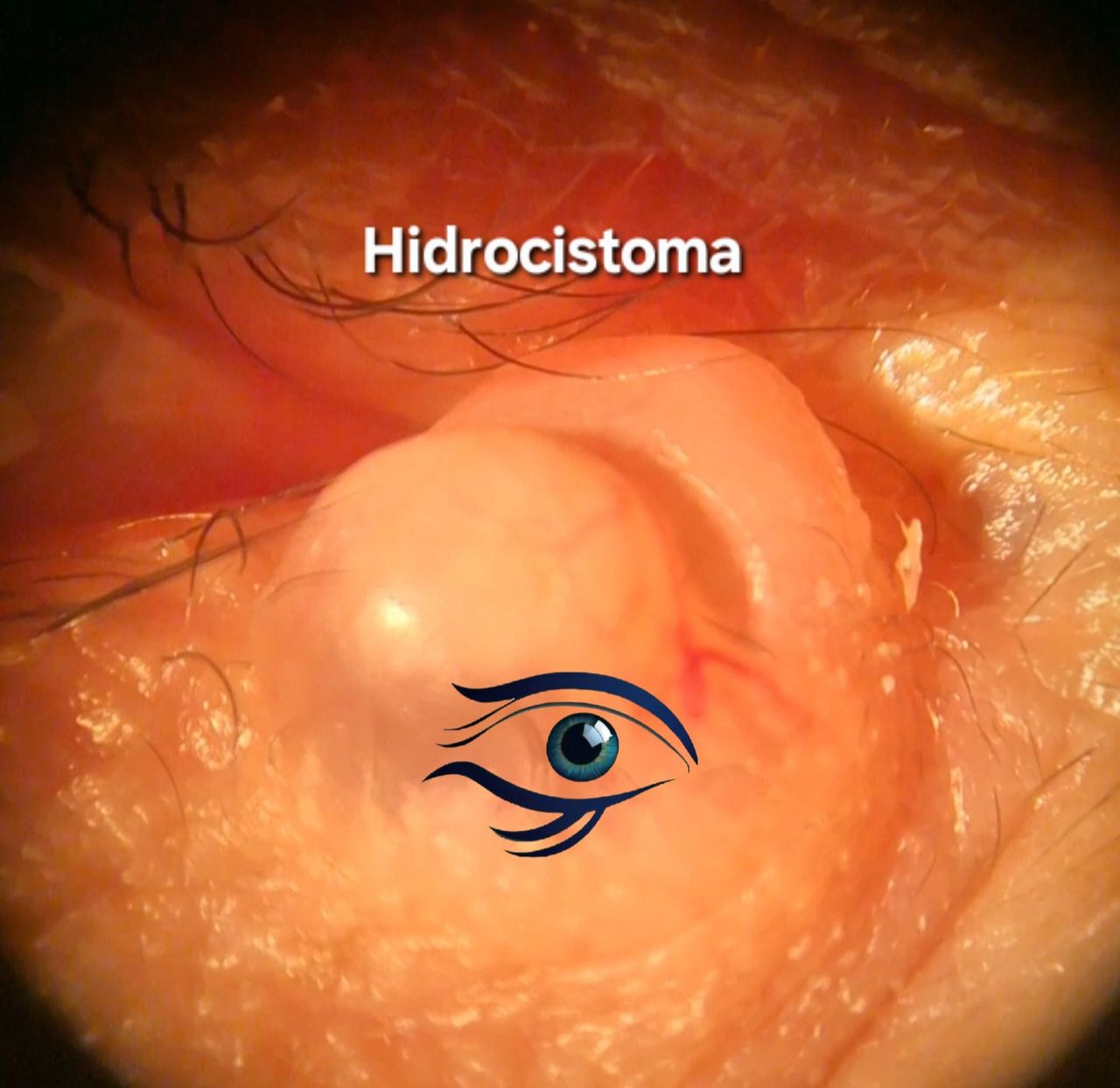 Dante Alan Guevara Villarreal-13