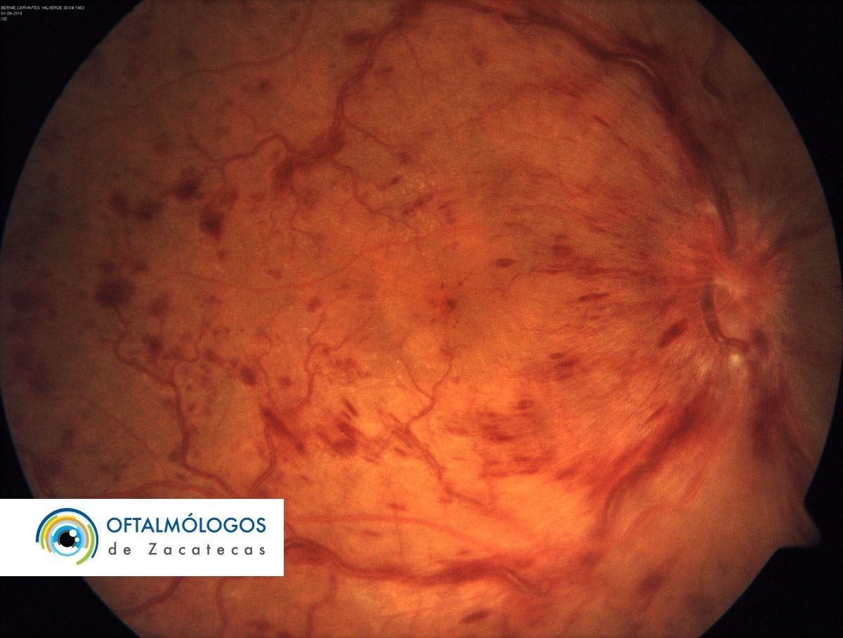 Salvador López Rubio-11