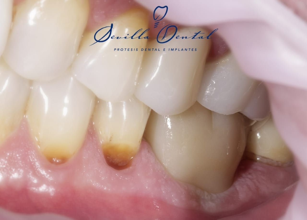 Gemma Marlene Sevilla Olmedo-4