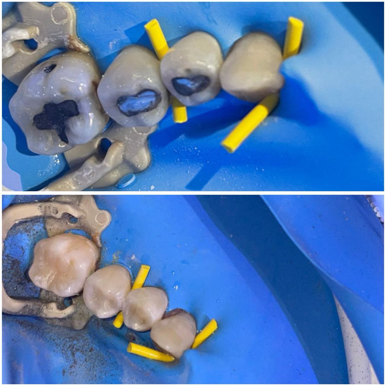 Maria Lourdes Pérez Jiménez-3