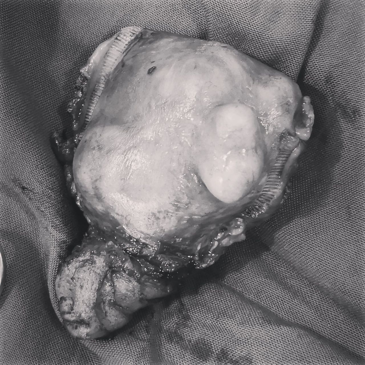 Iván Nájera Ayuso-9