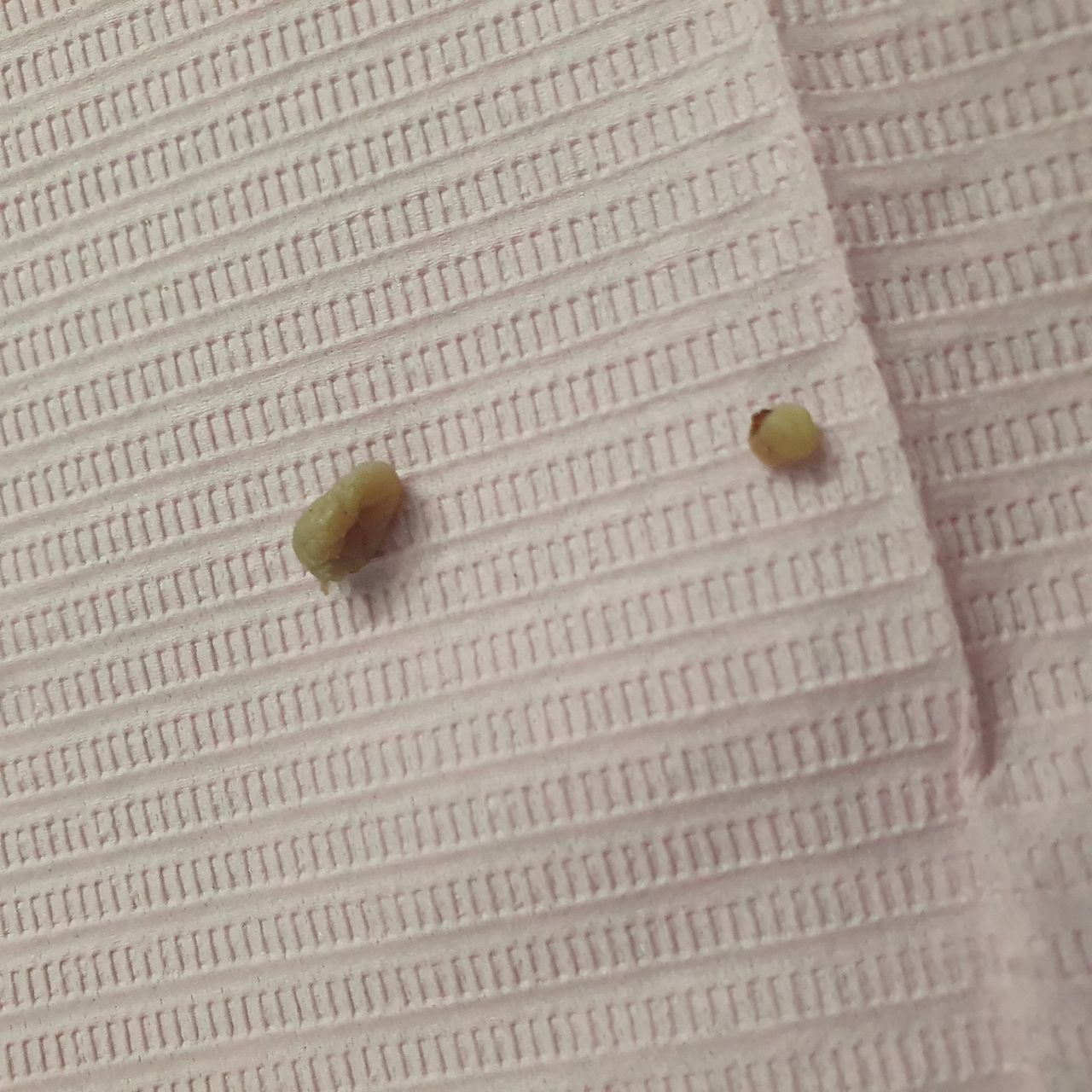 Fabiola Arcos Huesca-58