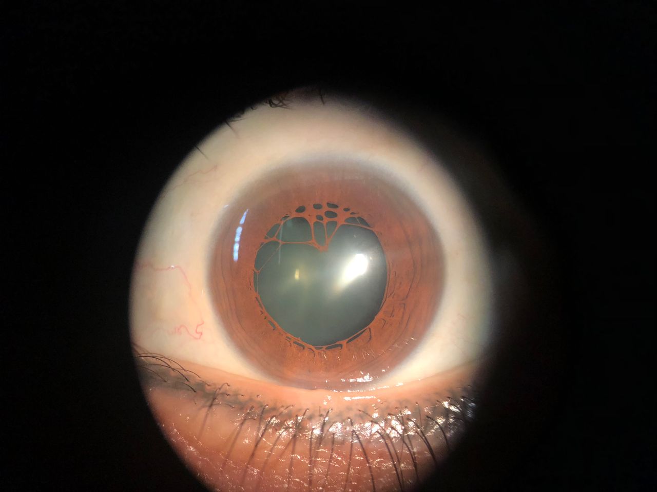 Ivonne Jocelyn Rivera Alvarado-33