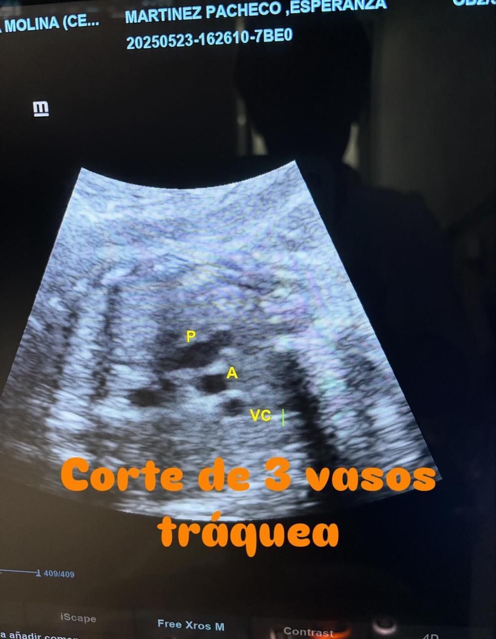 Sandra Faviola Dávila Molina-35