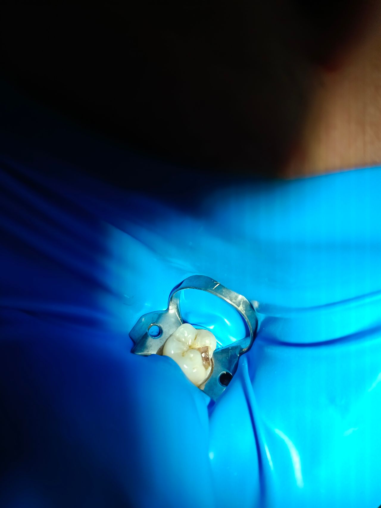 Jose Daniel Noriega Rodríguez-2