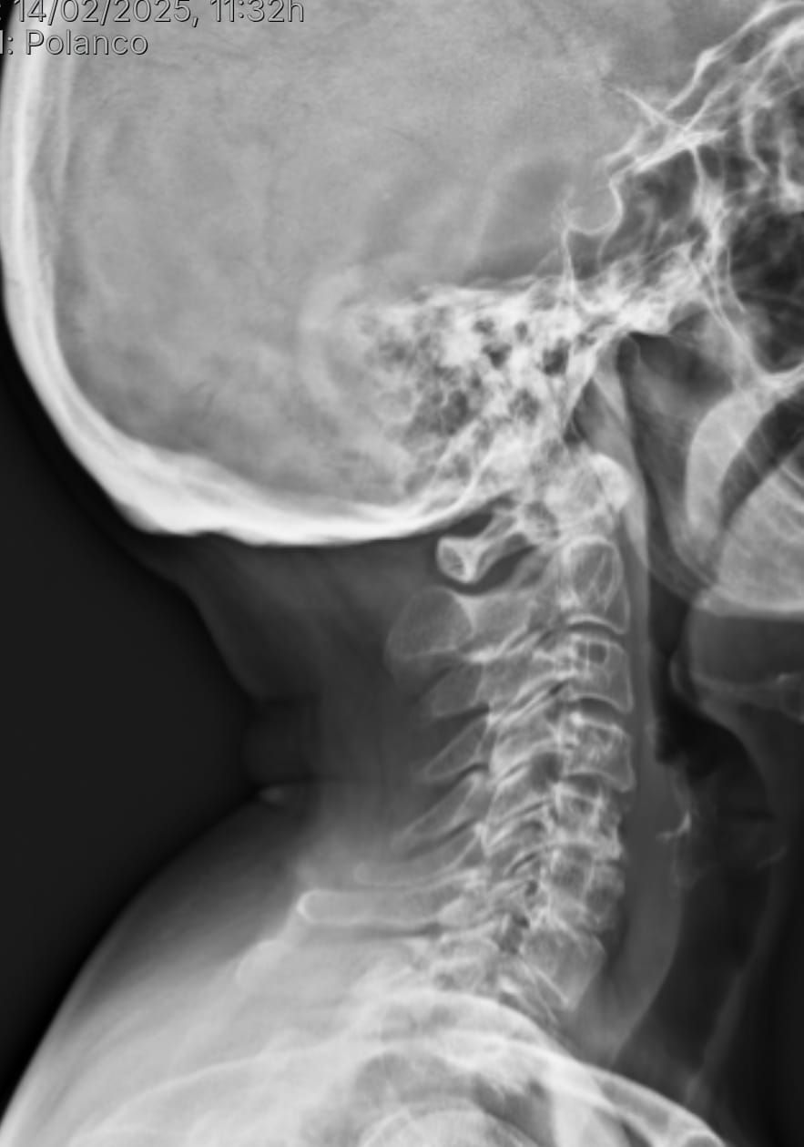 José Antonio Algarín Reyes-0