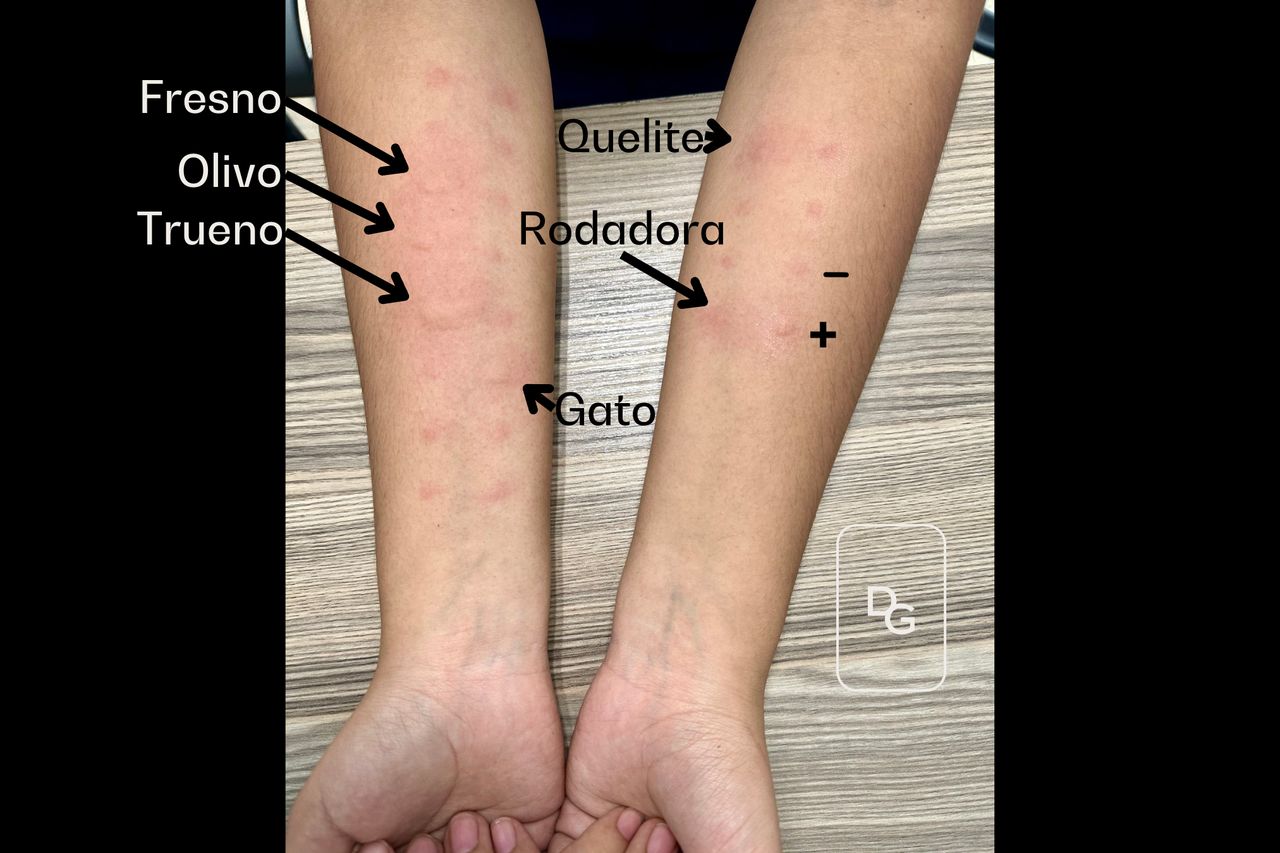 Gerardo López Ponce-5