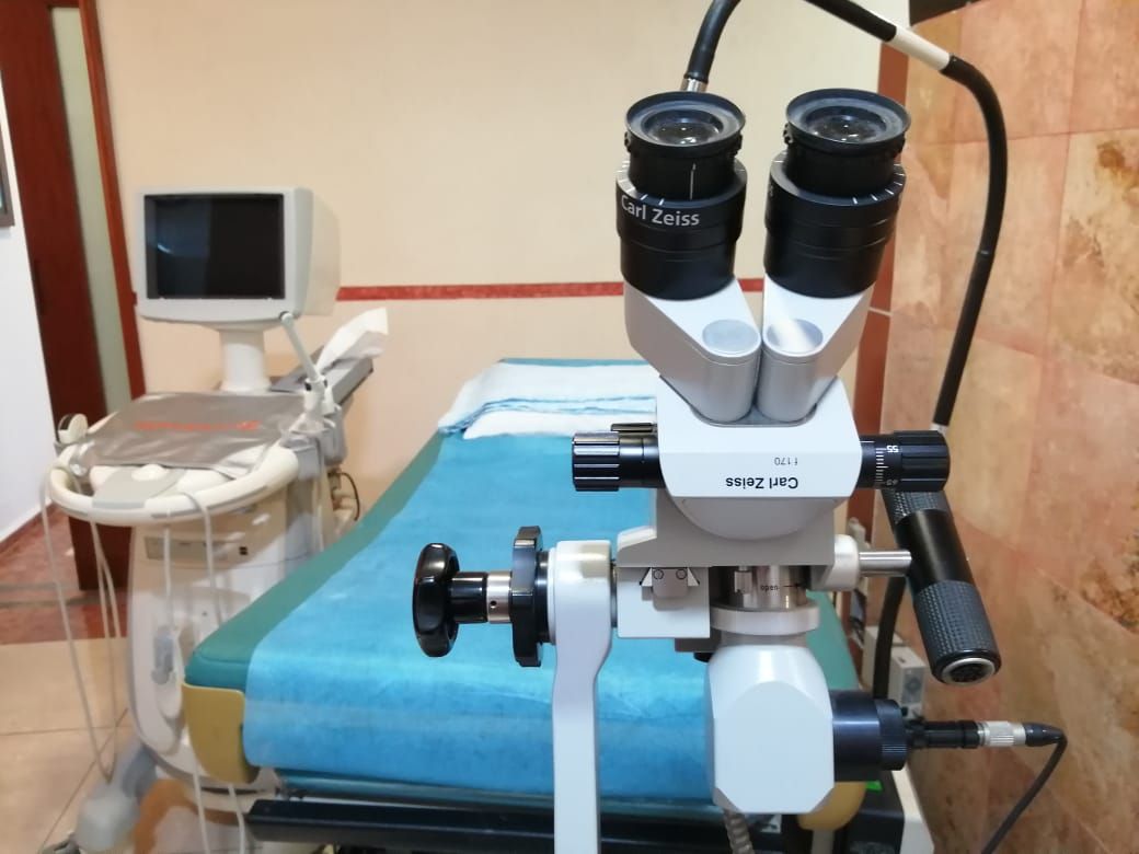 Adriana Patricia Alcaraz Muñuzuri-10