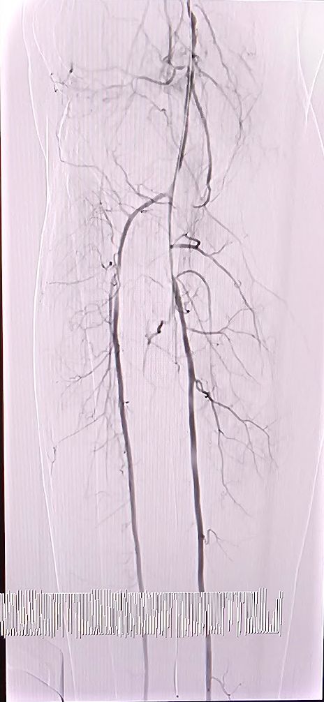 Luis Alberto Garnica León-6