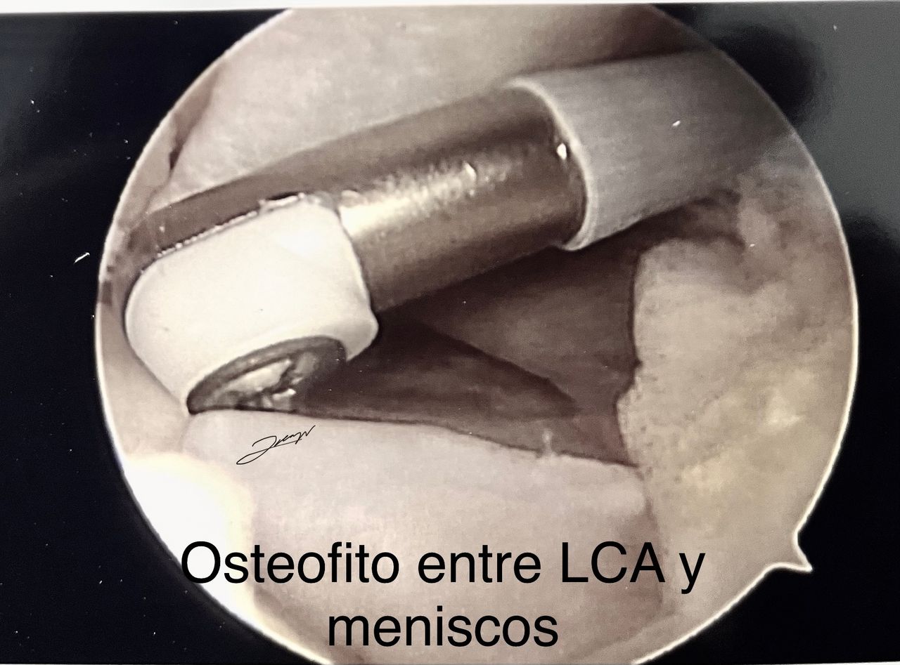 Juan Manuel Viruega Avalos-8