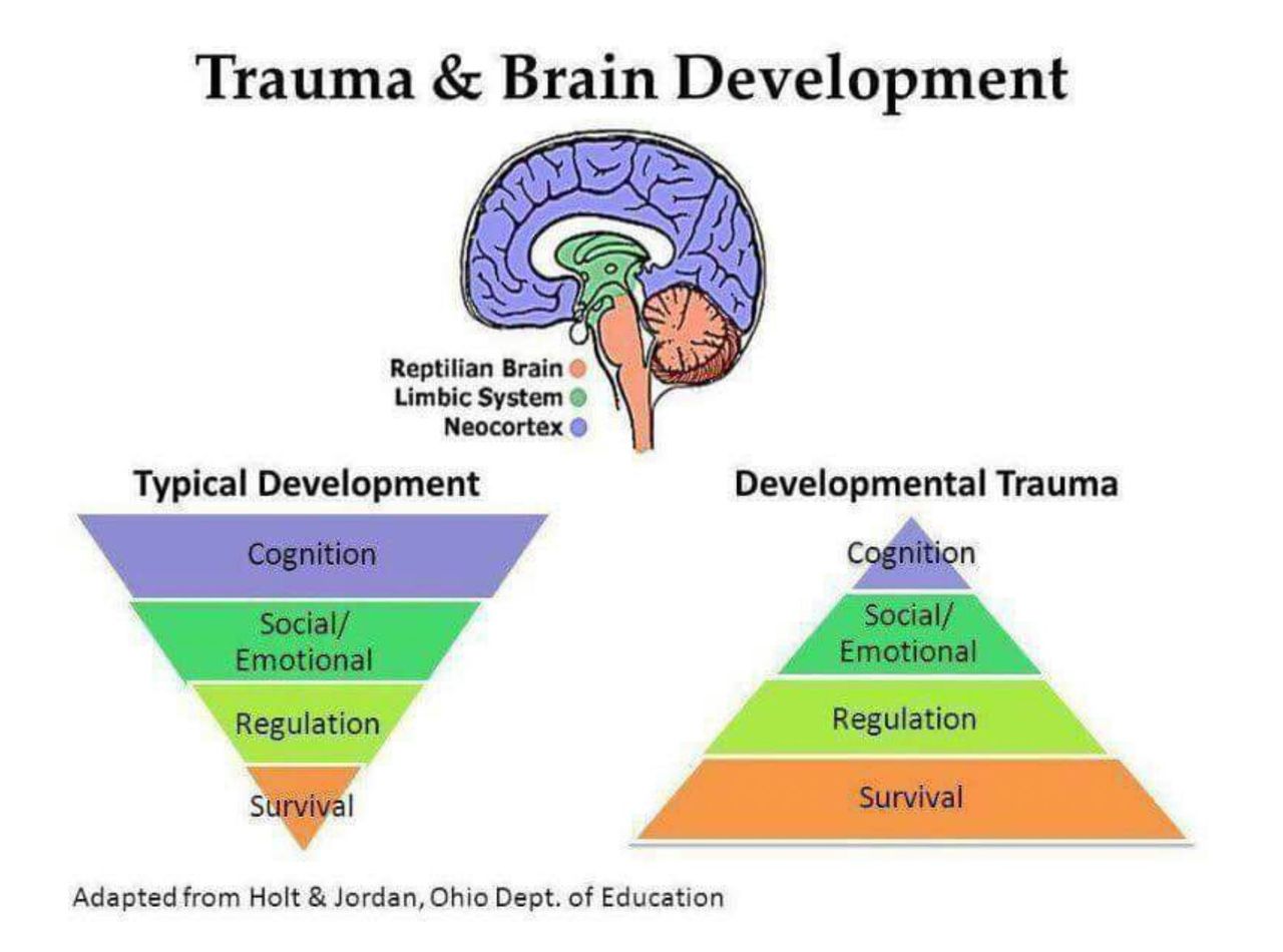 Silvia Torres Abdala-0