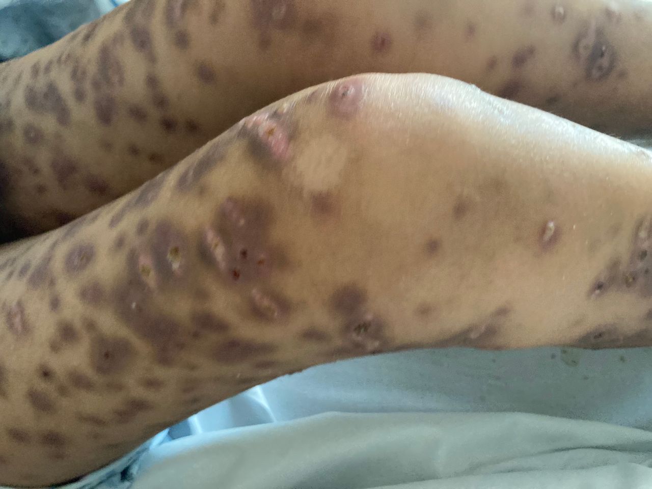 Sandra Guadalupe Pulido Sánchez-4