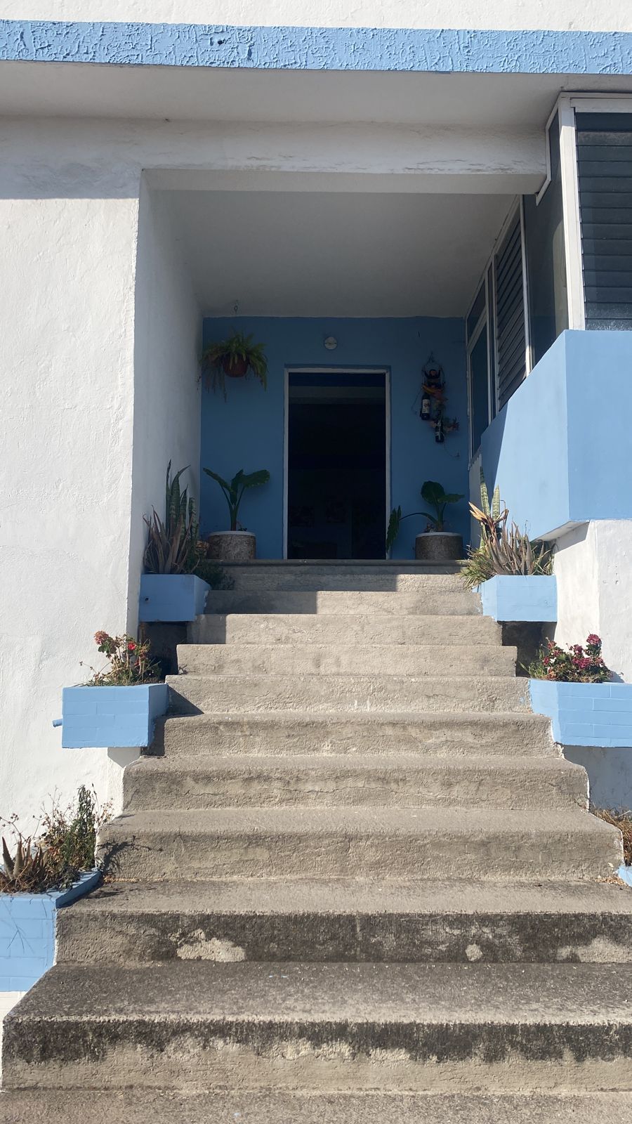 Estrella Gonzalez Zenteno-2