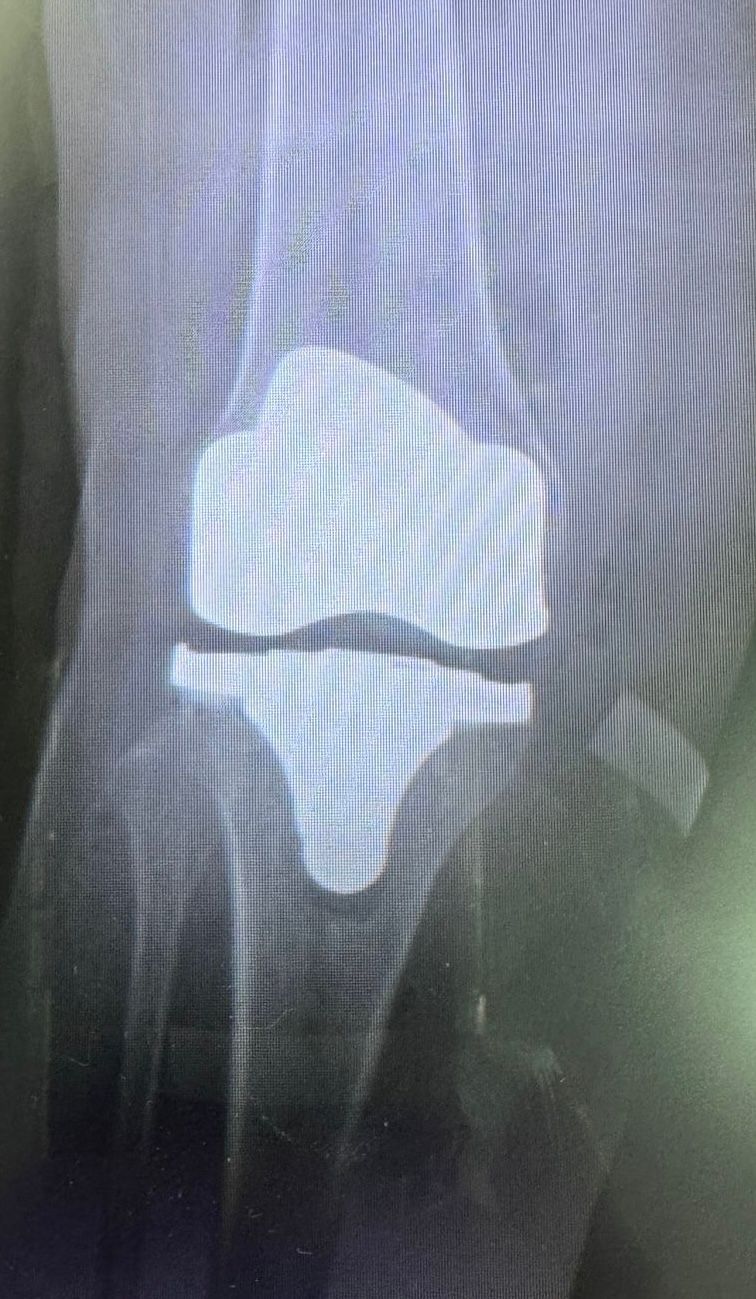 Monica Álvarez Cedeño-4