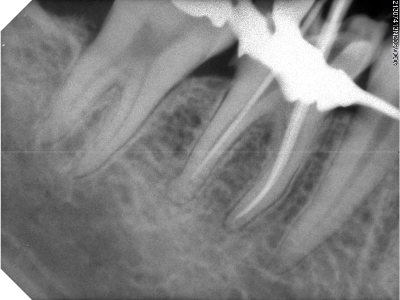 Ana Patricia García García-3