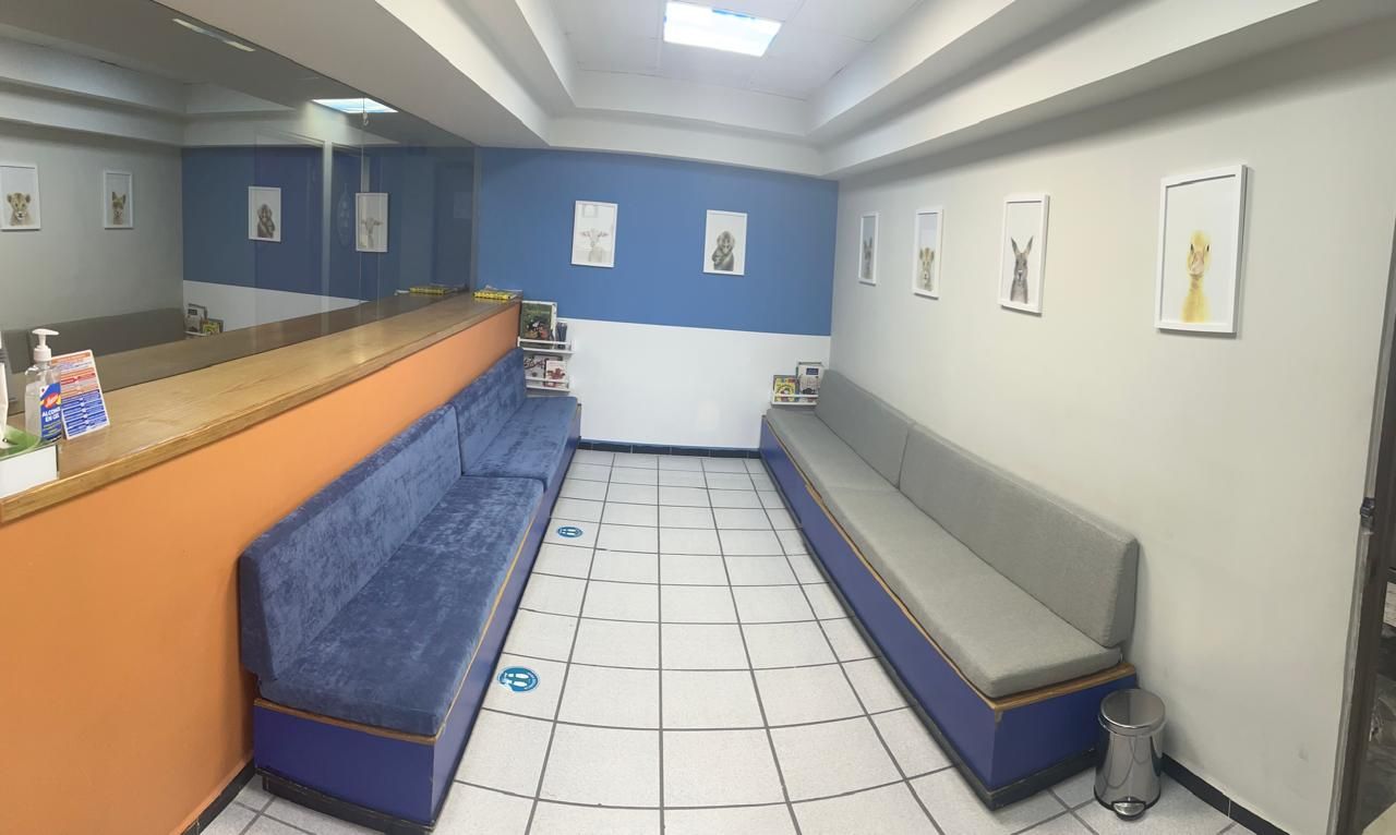 Rodrigo Ville Benavides-4