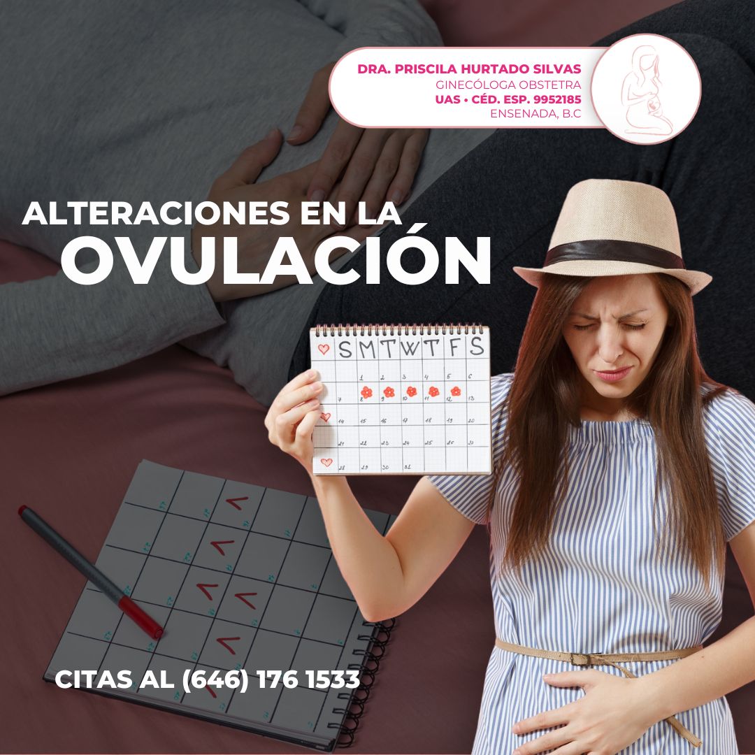 Priscila Hurtado Silvas-4