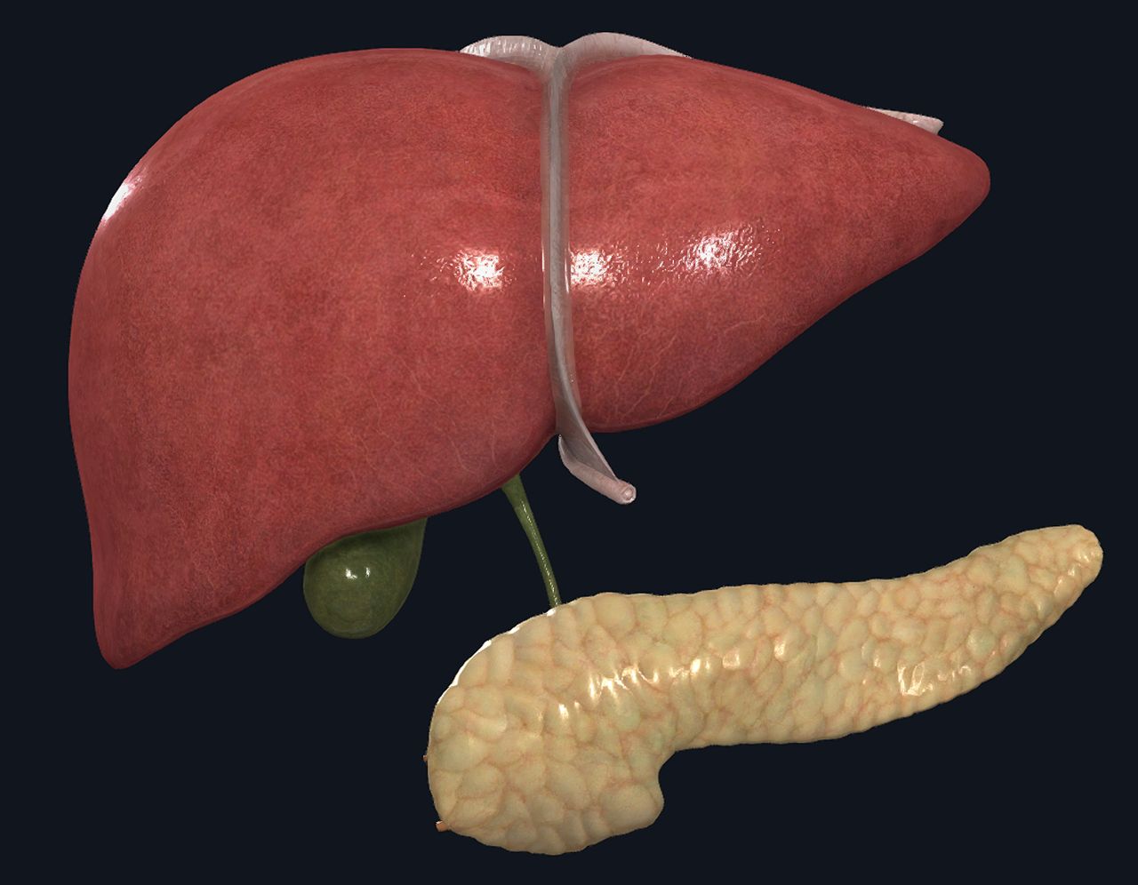 Mateo Ponciano Guerrero-32