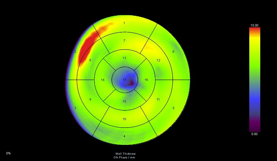 Miguel Franco Estrada-7
