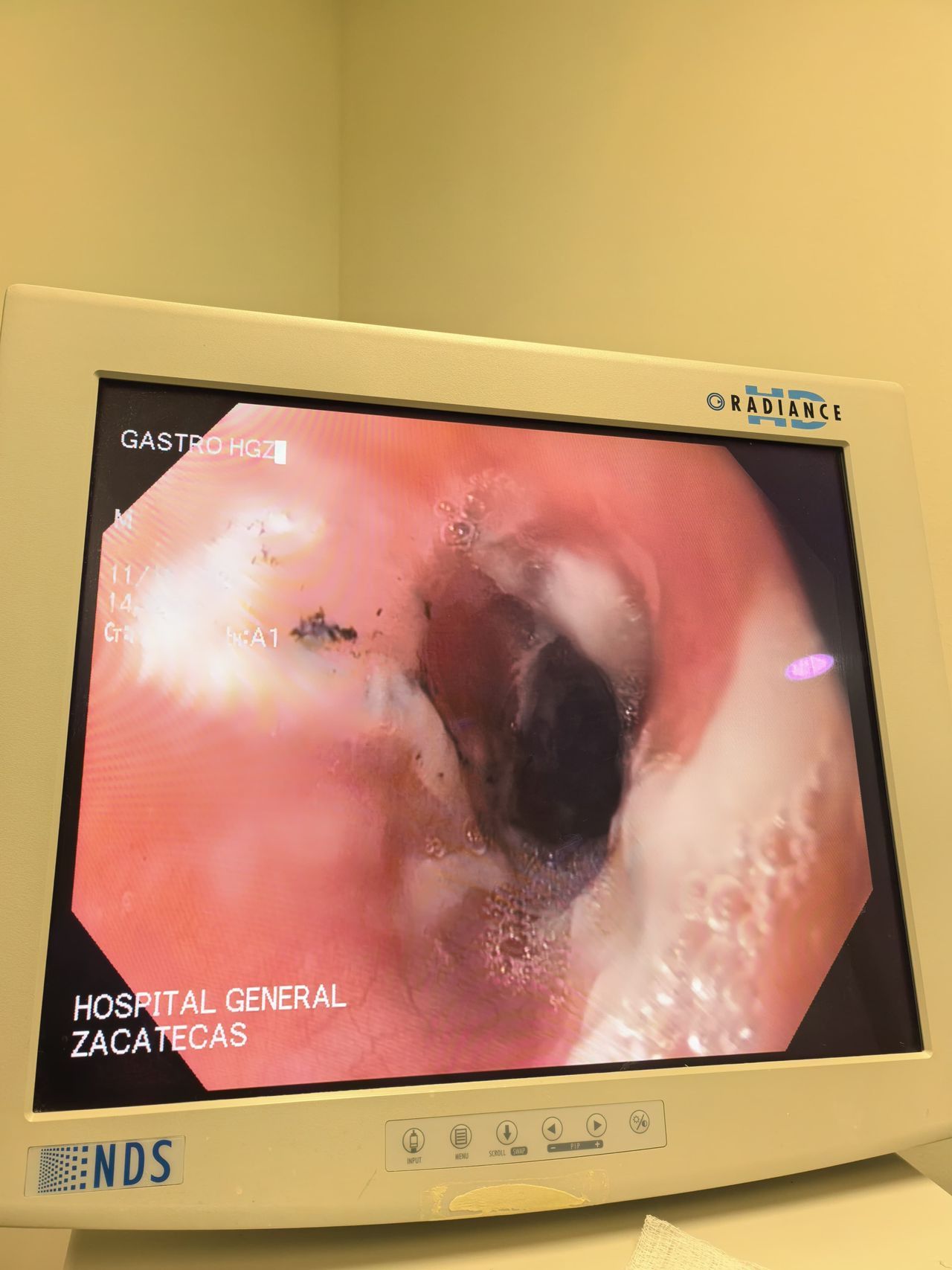 Luis Octavio Flores Romo-10