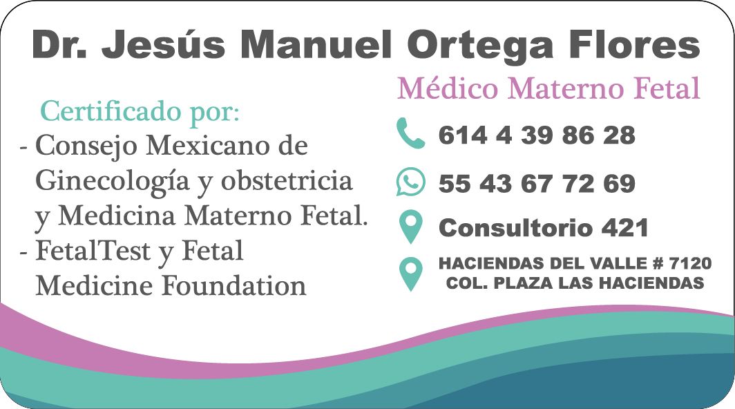 Jesús Manuel Ortega Flores-20
