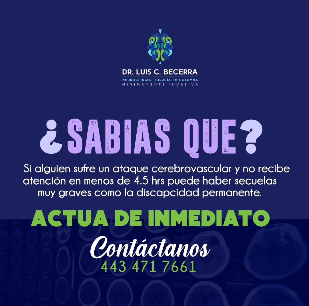 Luis C Becerra-9