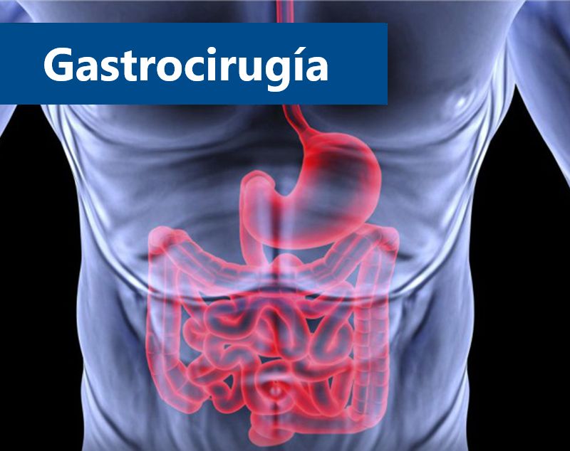 Miguel Angel Rico Hinojosa-17