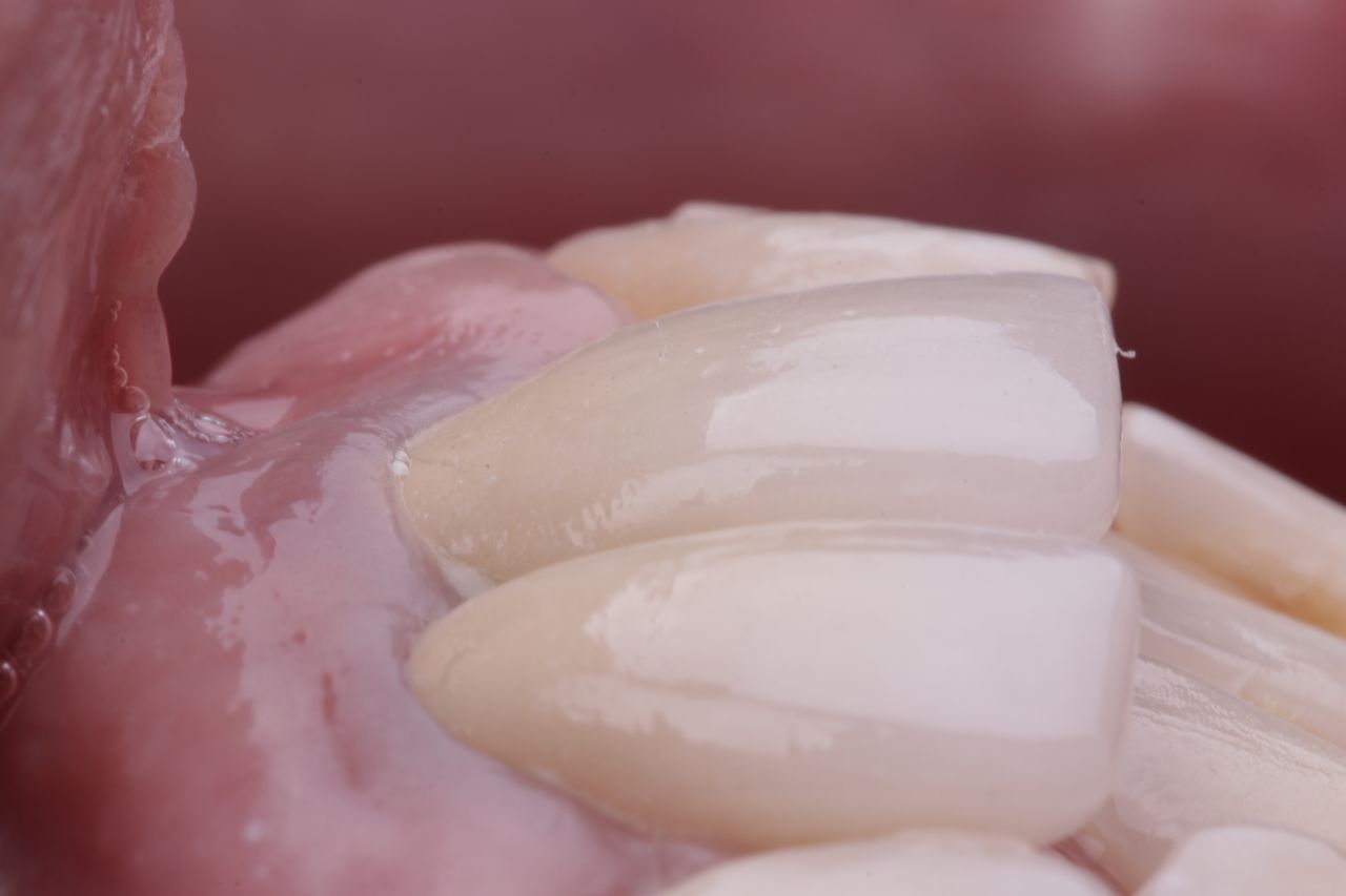 Adriana Ramos Carrillo-9