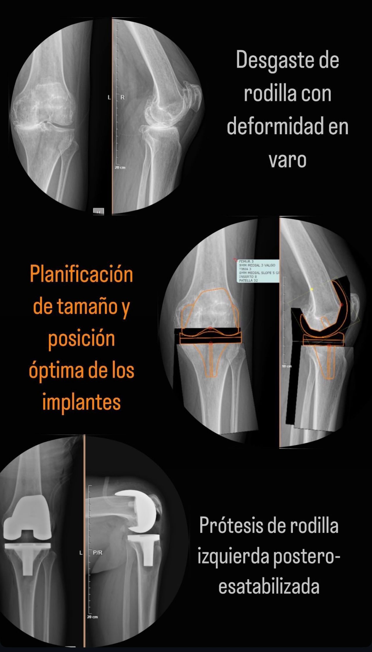 Vicente Carrasco García-13